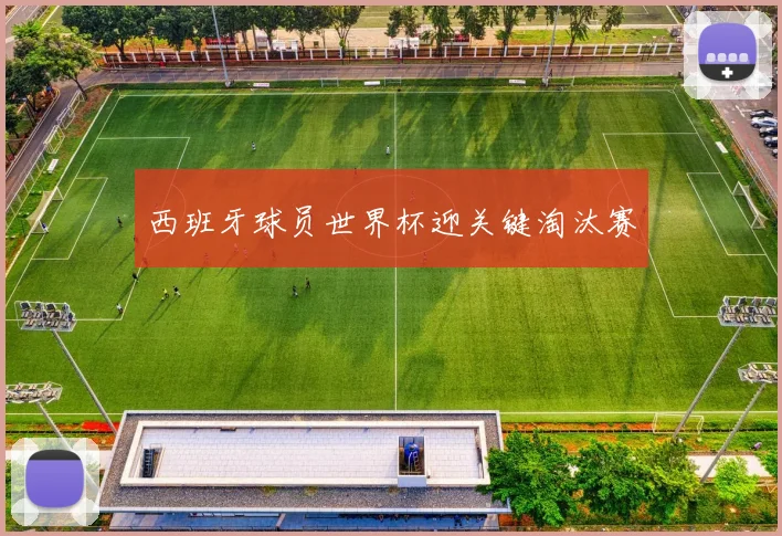 西班牙球员世界杯迎关键淘汰赛