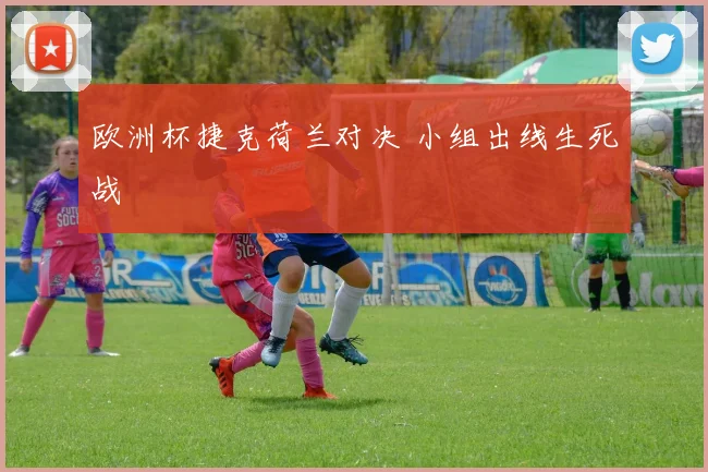 欧洲杯捷克荷兰对决 小组出线生死战
