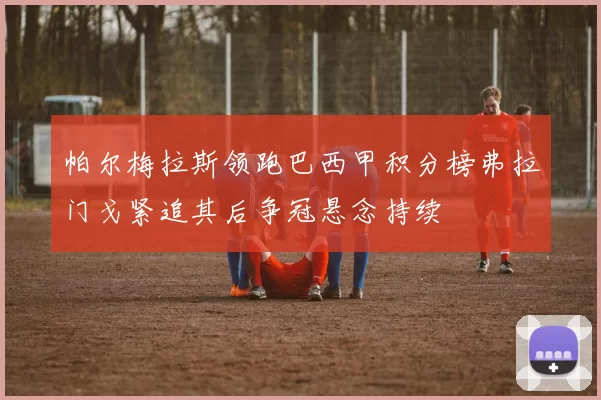 帕尔梅拉斯领跑巴西甲积分榜弗拉门戈紧追其后争冠悬念持续