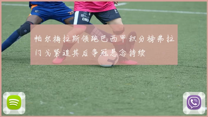 帕尔梅拉斯领跑巴西甲积分榜弗拉门戈紧追其后争冠悬念持续