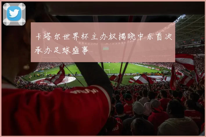卡塔尔世界杯主办权揭晓中东首次承办足球盛事