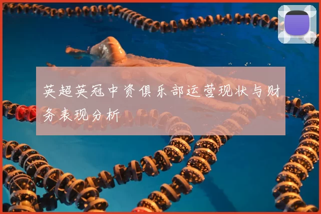英超英冠中资俱乐部运营现状与财务表现分析
