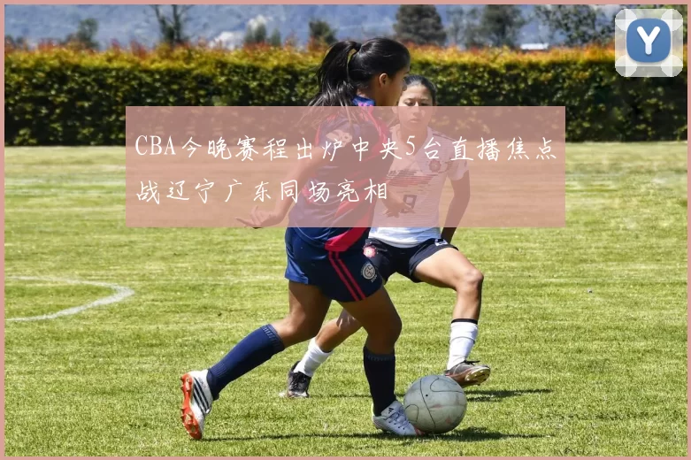 CBA今晚赛程出炉中央5台直播焦点战辽宁广东同场亮相