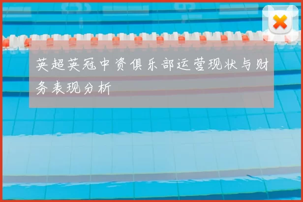英超英冠中资俱乐部运营现状与财务表现分析