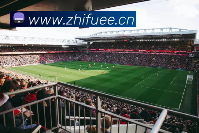 半岛在线体育 - 半岛在线(中国)全站App